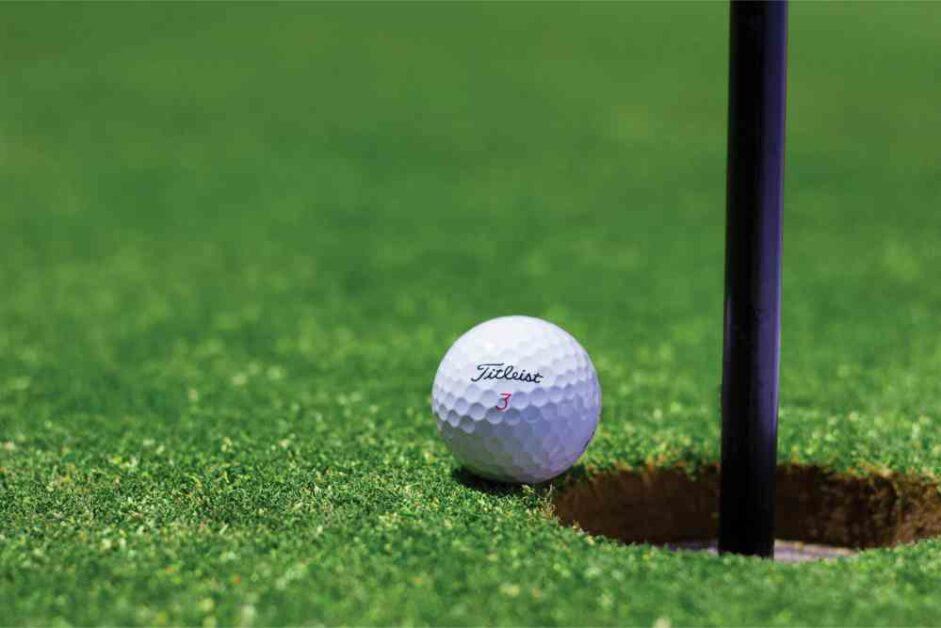 Hudson golf course golf ball with club